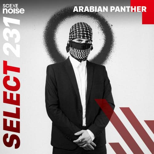 Select 231: Mixed by Arabian Panther