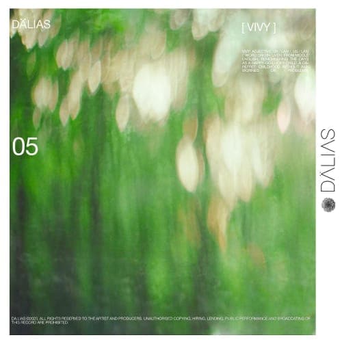 Vivy