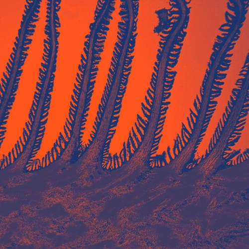 ΔΙΑΔΙΚΤΥΑΚΗ ΑΠΑΤΗ 30 w/ Morken Invites SPLT (23.07.25)