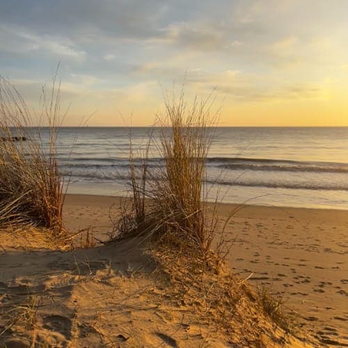 Sevenbeatz : 90's UKG/2STEP - 09 Avril 2025