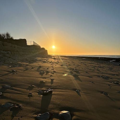 Sevenbeatz - 12 Février 2025