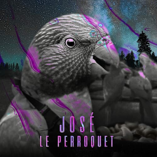 JOSÉ LE PERROQUET