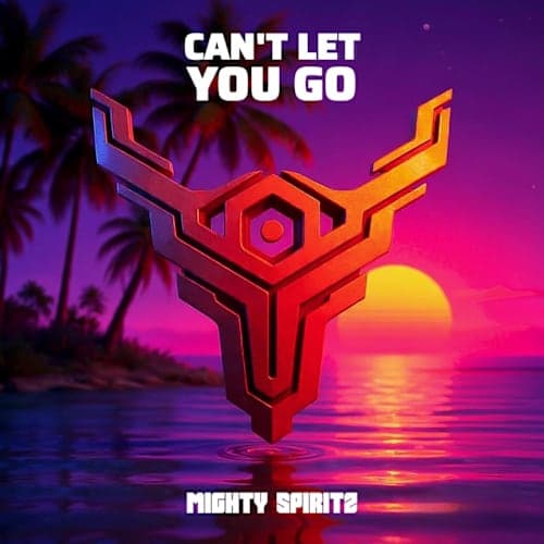 CAN'T LET YOU GO