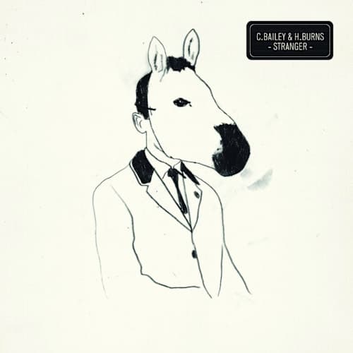 Stranger (w/ Chris Bailey)